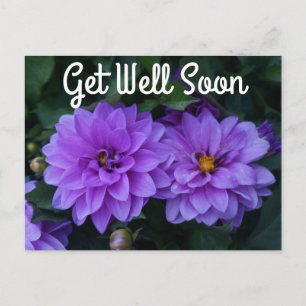 Postale Lavender Dahlia Lilac Se Bien Bientôt Carte Postal