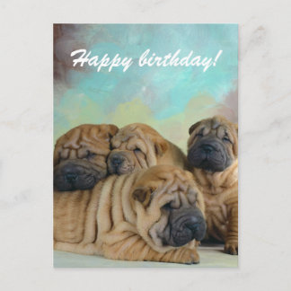 Postale Lazy shar pei Joyeux anniversaire! carte