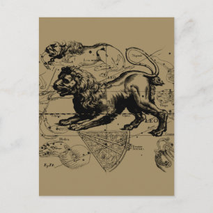 Postale Leo Constellation Carte Hevelius vers 1690