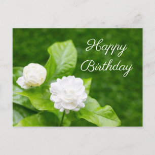 Postale Les fleurs de jasmin sont sur la carte d'anniversa