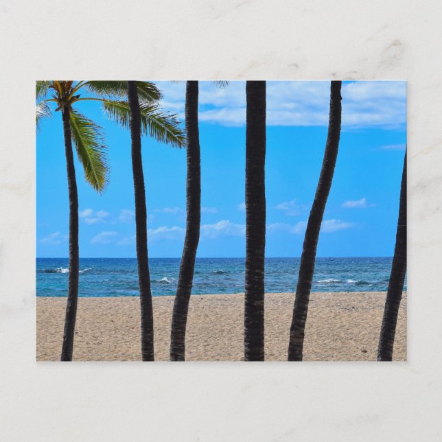 Postale Ligne de palmiers de plage - Hawaii - Carte postal (Devant)