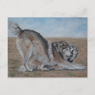 Postale loup pittoresque faune réaliste art animal carte p