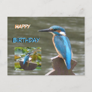 Postale Martin-pêcheurs mignons Carte d'anniversaire