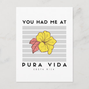 Postale M'avait eu à Pura Vida Costa Rica Hibiscus Carte p