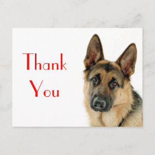 Postale Merci Allemand Berger Chien Chien Chien Pot Carte