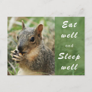 Postale mignon écureuil bien manger et dormir bien carte p