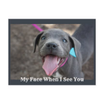 Mon Visage Quand Je Vous Vois Mignonne Carte Posta