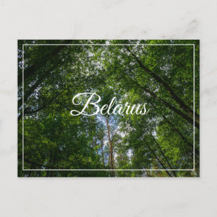 Postale Nature Paysage Paysage Forêt Biélorussie Carte pos
