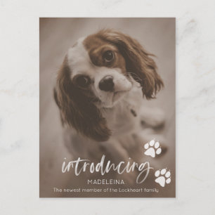 Postale Nouvelle Faire-part de chiot ou de chien, carte d'