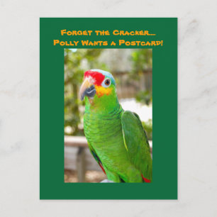 Postale Oubliez le craqueur, Polly veut une carte postale,