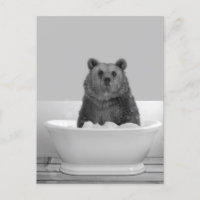 Ours dans la baignoire bain moussant Carte postal