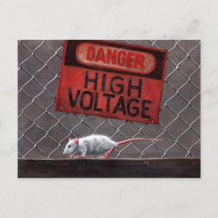Postale Panneau haute tension Rat sur clôture Carte postal