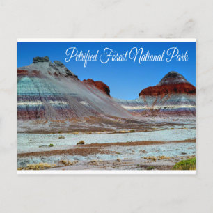 Postale Parc National de la Forêt Petrifiée, Arizona Carte