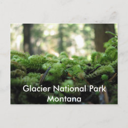 Postale Parc national des Glaciers, Montana Mossy Carte po