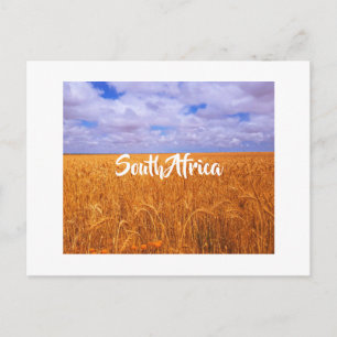 Postale Paysage rural d'Afrique du Sud Champs de blé Carte