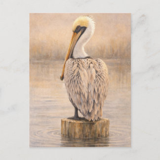 Postale Pélican de port | Art de la faune côtière | Carte