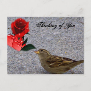 Postale Penser à vous / toutes les occasions_ Carte postal