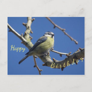 Postale Petit oiseau avec carte d'anniversaire de ciel ble