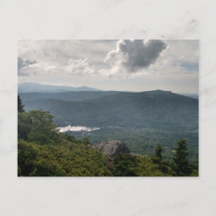 Postale Photographie du paysage forestier sur carte postal