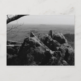 Postale Photographie du paysage forestier sur carte postal
