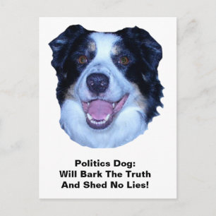 Postale Politique Frontière Collie Bark La Vérité Carte Po