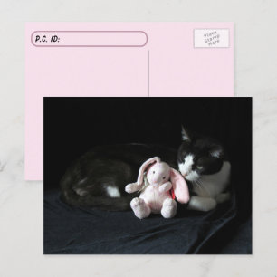 Postale Post-croisement Certains Lapin M'Aime - Carte Post