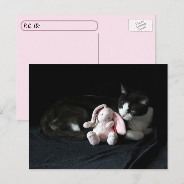 Postale Post-croisement Certains Lapin M'Aime - Carte Post (Devant / Derrière)