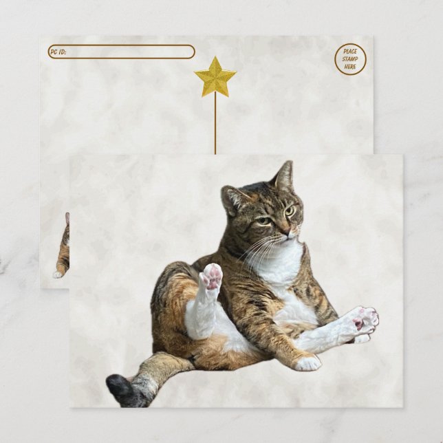 Postale Postcrossing - Pose de chat ridicule - Carte posta (Devant / Derrière)