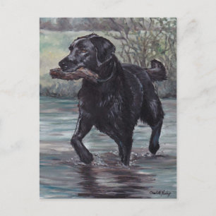 Postale Récupérer Black Labrador Retriever Dog Art carte p