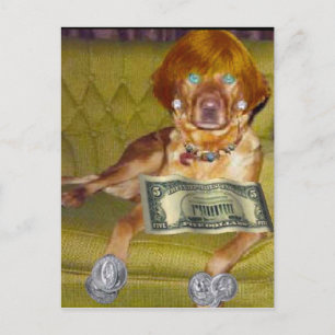 POSTALE REGARDEZ CE QUE JE FAIS POUR L'ARGENT CARTE POSTAL