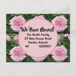 Postale Rose Rose Rose Nouvelle Adresse Carte Postale, Nou