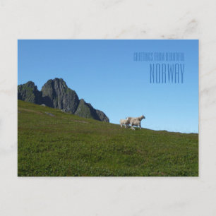 Postale Salutations du magnifique carte photo norvégien