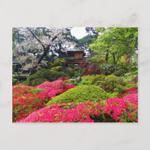 Postale San Francisco Japanese Tea Garden #12 Carte postal