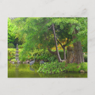 Postale San Francisco Japanese Tea Garden Pond #4 Carte po