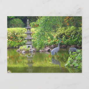 Postale San Francisco Japanese Tea Garden Pond #5 Carte po