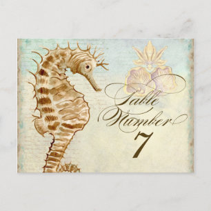 Postale Sea Horse Coastal Beach - Numéro de tableau Carte 