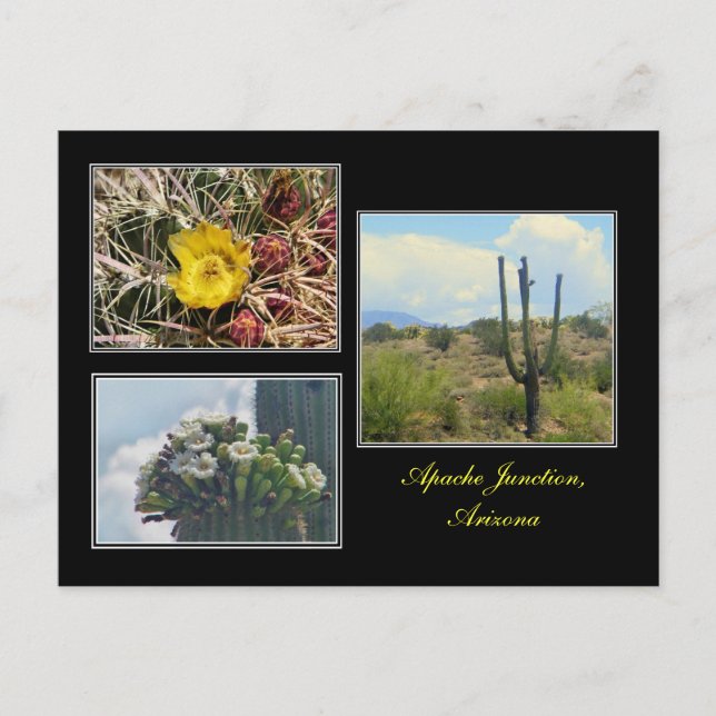 Postale trois photos d'Apache Junction Arizona carte posta (Devant)