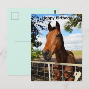 Postale Tulip le cheval bai brun, Carte d'anniversaire
