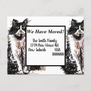 Postale Tuxedo Cat Nouvelle Adresse Carte Postale, Nous Dé