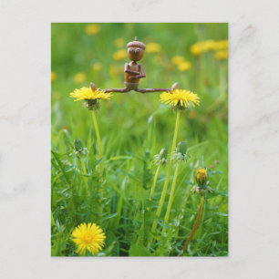 Postale Un elfe de maïs sur les pandelions sur la carte po