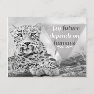 Postale Un léopard en danger protège la faune Carte postal