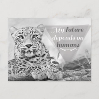 Postale Un léopard en danger protège la faune Carte postal