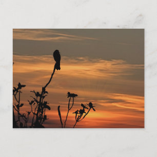 Postale un oiseau dans l'arbre au coucher du soleil carte 