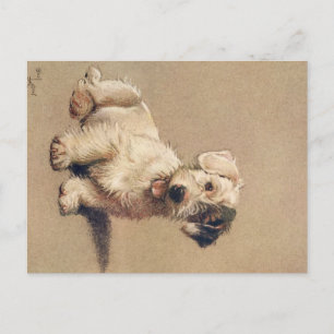 Postale Une douzaine de chiens ou ainsi Cecil Aldin carte