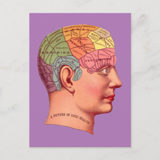 Postale Vintage Phrenologie Chef Mineur Carte du cerveau