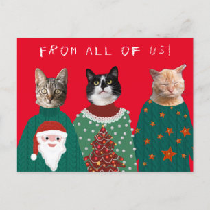 Postale Vos 3 chats dans les affreux pulls de Noël Carte p