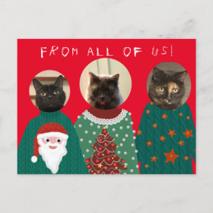 Postale Vos 3 chats dans les affreux pulls de Noël Carte p