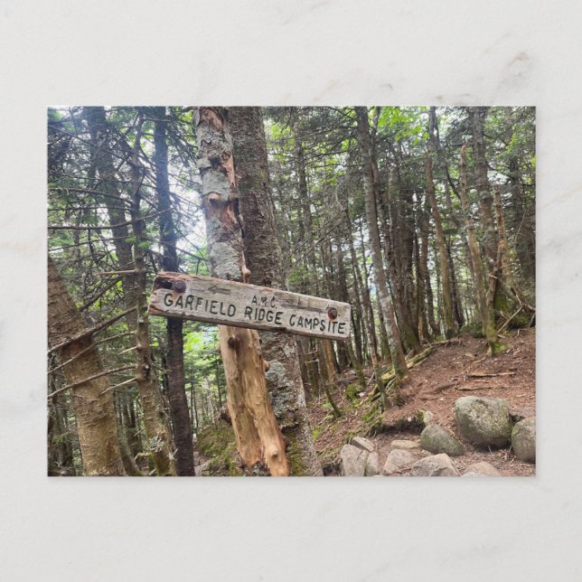 Postale White Mountains Garfield Ridge Camping Carte posta (Devant)