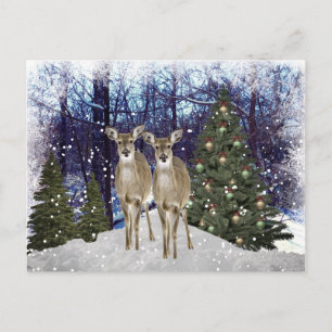 Postale Winter Wonderland Deer et Christmas Tree carte pos