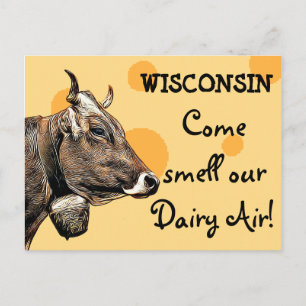Postale Wisconsin Come Smell our Dairy Air Humour Carte po